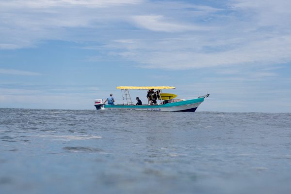 Daily Boat Trip – Sirena Surf Lodge