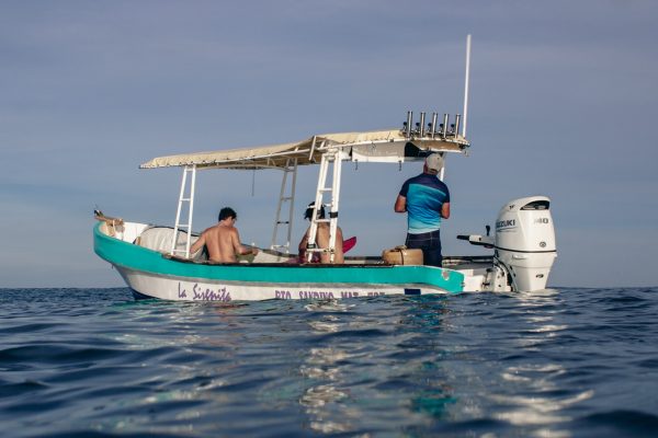 Sirena Surf 2025-9-11-1