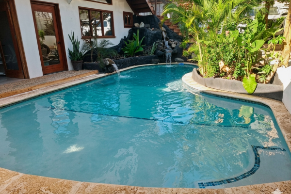 Sirena Surf Lodge Pool!