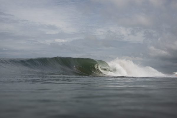 DSC_7629