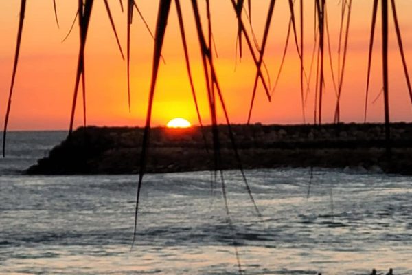 anothersunset