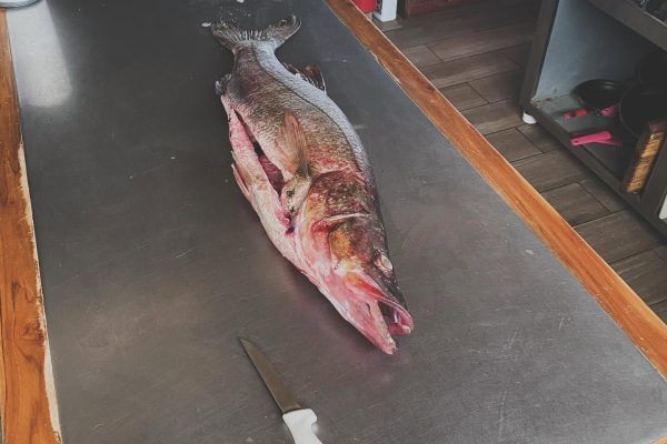bigsnook