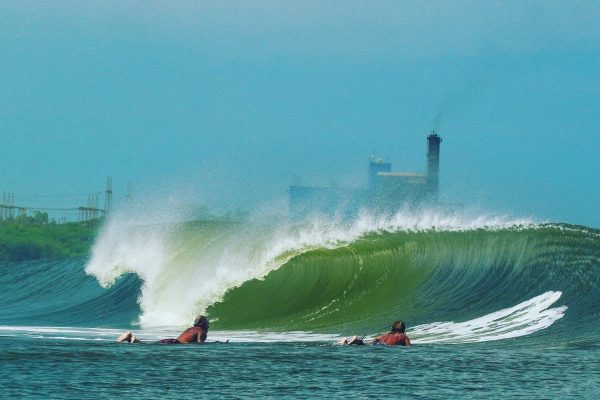 greenbowl
